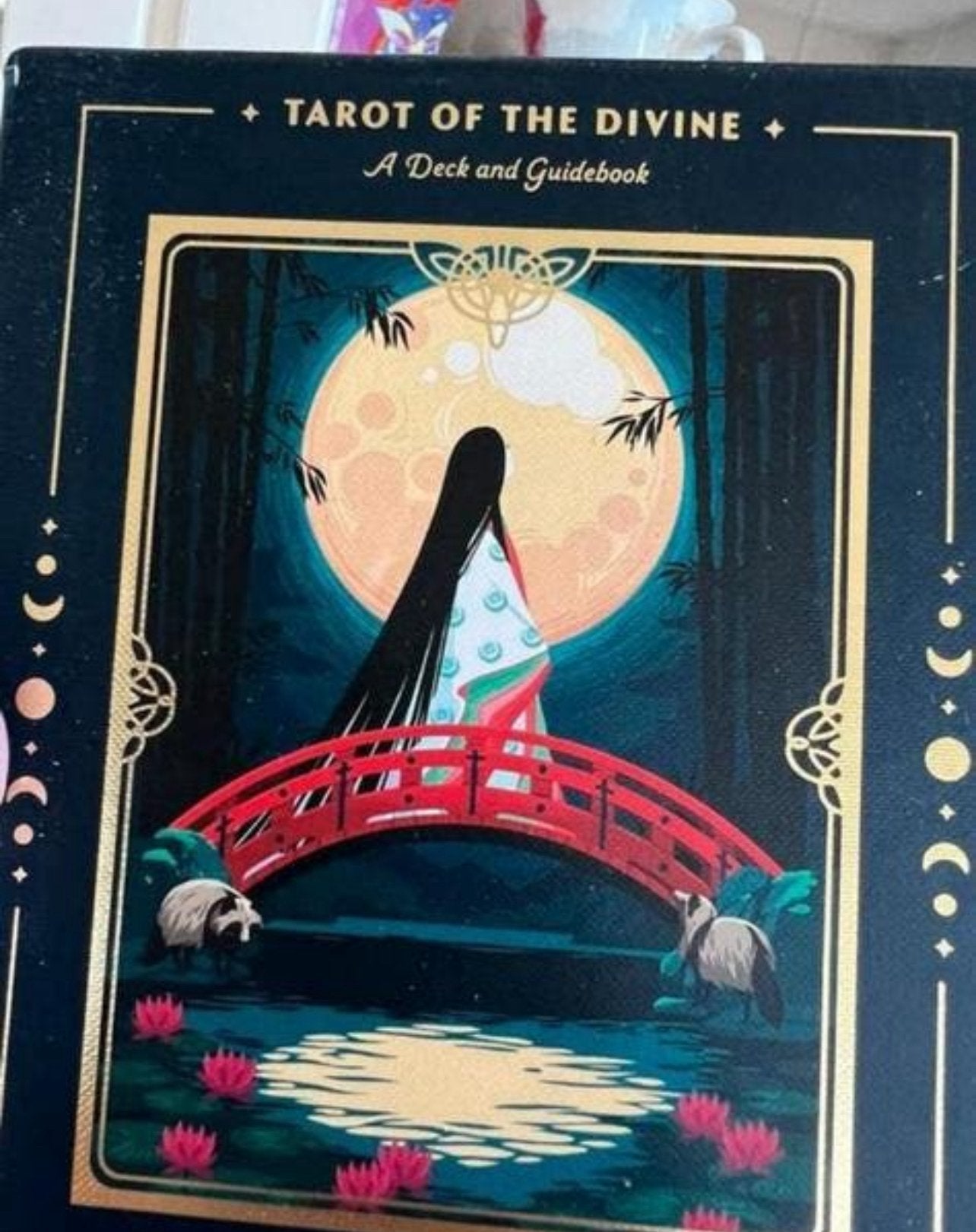 Tarot of the Divine a Deck and Guidebook, Ophalen of Verzenden, Nieuw, Tarot of Kaarten leggen, Overige typen