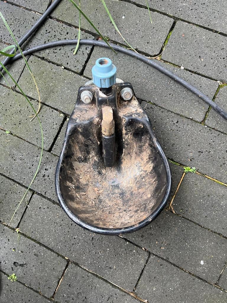 Paarden drinkbak, Ophalen, Overige soorten