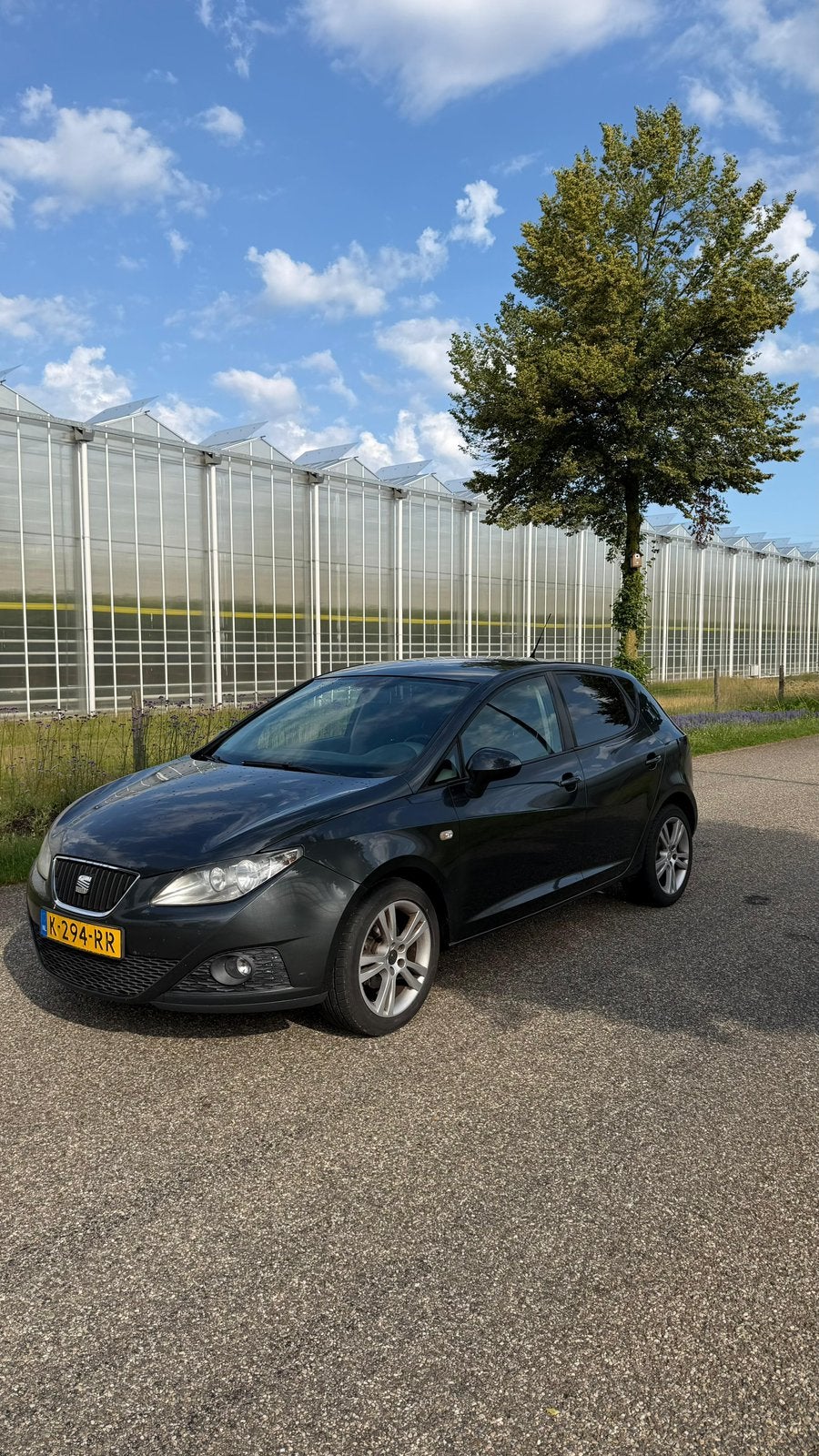 Seat Ibiza 1.4 Style 5-deurs Airco, Auto's, Voorwielaandrijving, 40 €/maand, 4 cilinders, Ibiza