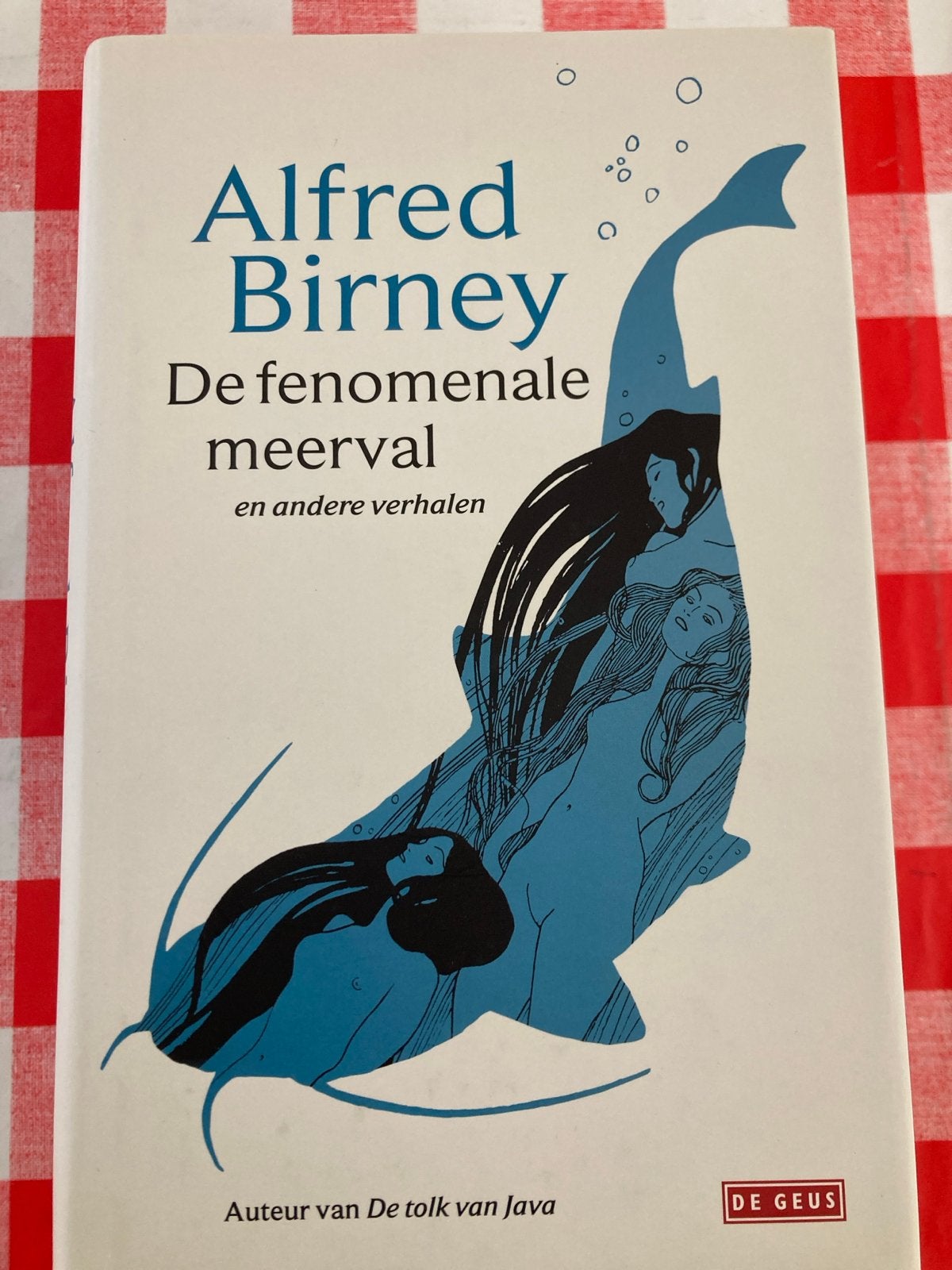 Alfred Birney - De fenomenale meerval en andere verhalen, Boeken, Ophalen of Verzenden, Zo goed als nieuw, Nederland