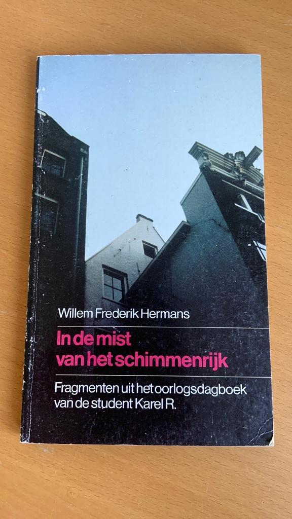 In de mist van het schimmenrijk - Willem Frederik Hermans, Boeken, Boekenweekgeschenken, Ophalen of Verzenden, Gelezen