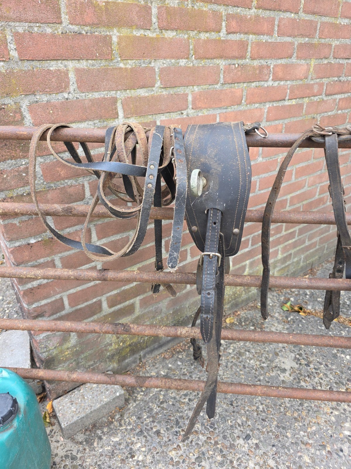 klein en oud shetlander tuig, Dieren en Toebehoren, Shetlander, Bruin, Recreatie, Mentuig