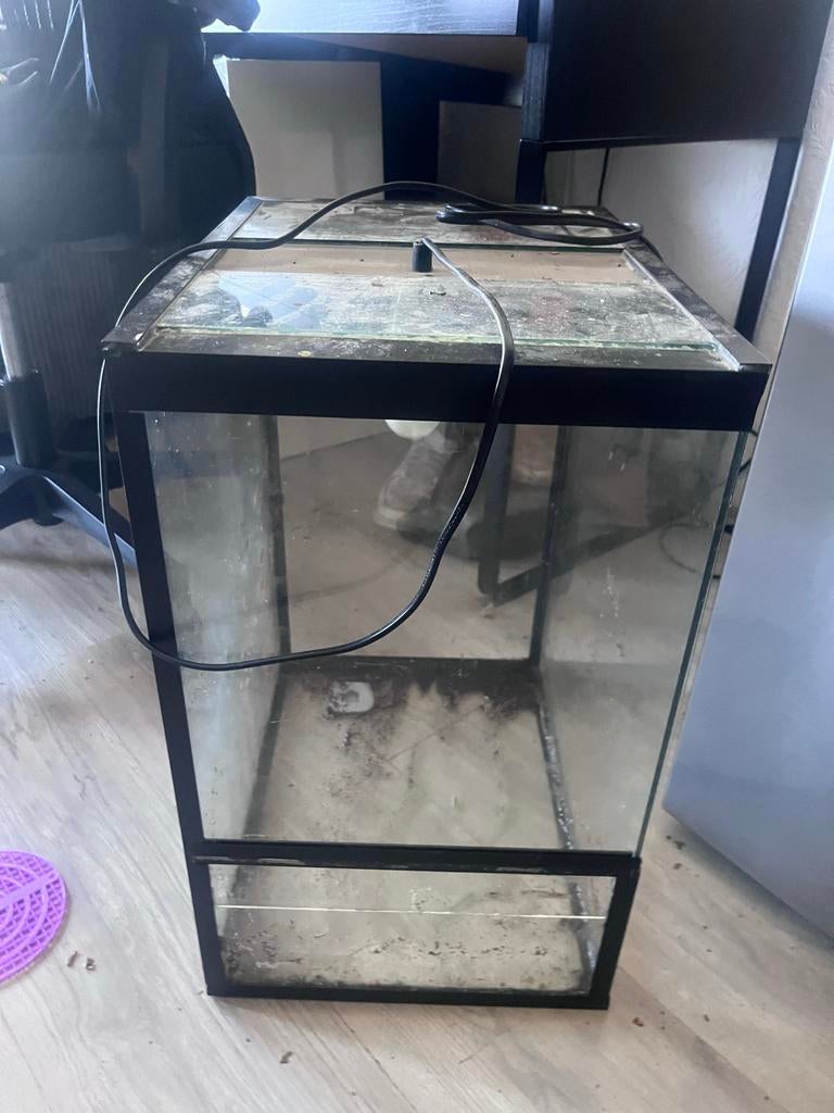 Terrarium, Ophalen, Gebruikt, Terrarium of Paludarium