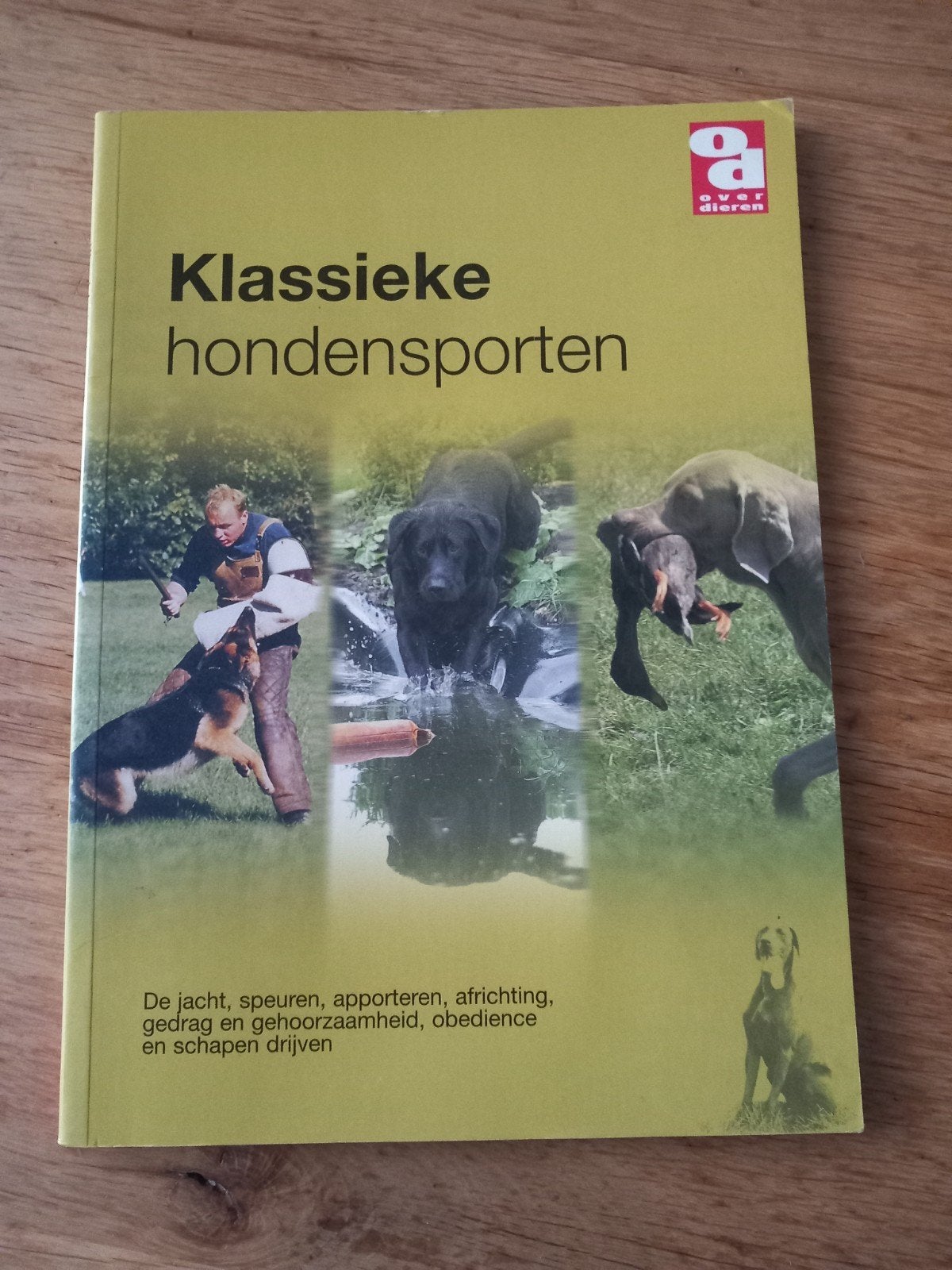 Klassieke hondensporten boekje, Ophalen of Verzenden, Gelezen, Honden