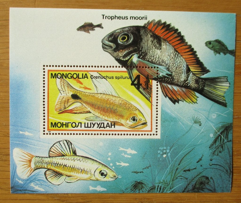 Mongolië blokje vissen, Zeilvin tetra en Tropheus (Cichlide), Verzenden, Postfris, Dier of Natuur