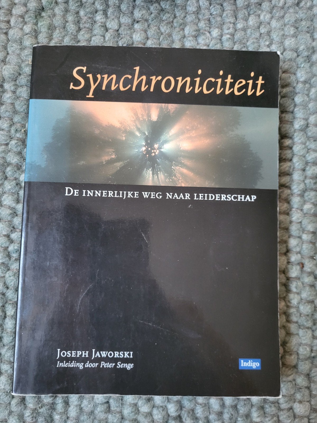 Synchroniciteit: De innerlijke weg naar leiderschap, Boeken, Ophalen of Verzenden