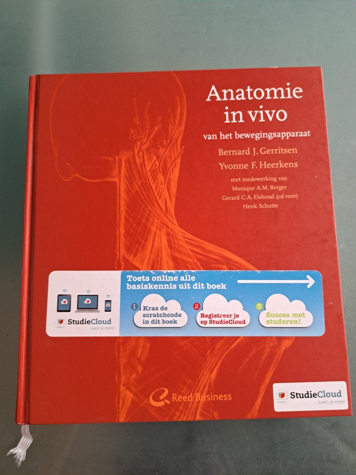 Anatomie in vivo van het bewegingsapparaat, Ophalen of Verzenden, Gelezen, Yvonne Heerkens; Bernard J. Gerritsen