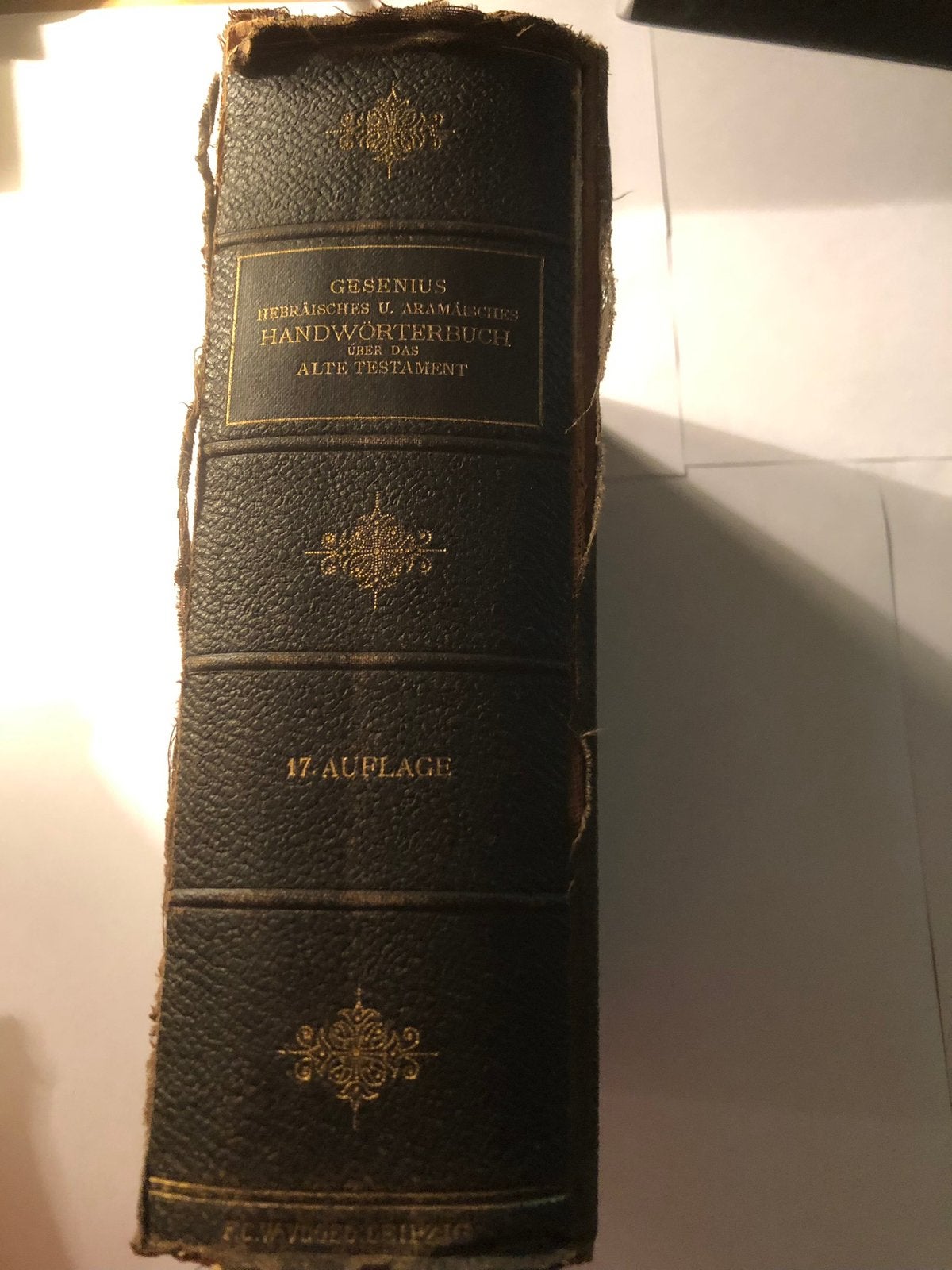 Hebräisches und aramäisches Handwörterbuch, Ophalen of Verzenden, Gelezen