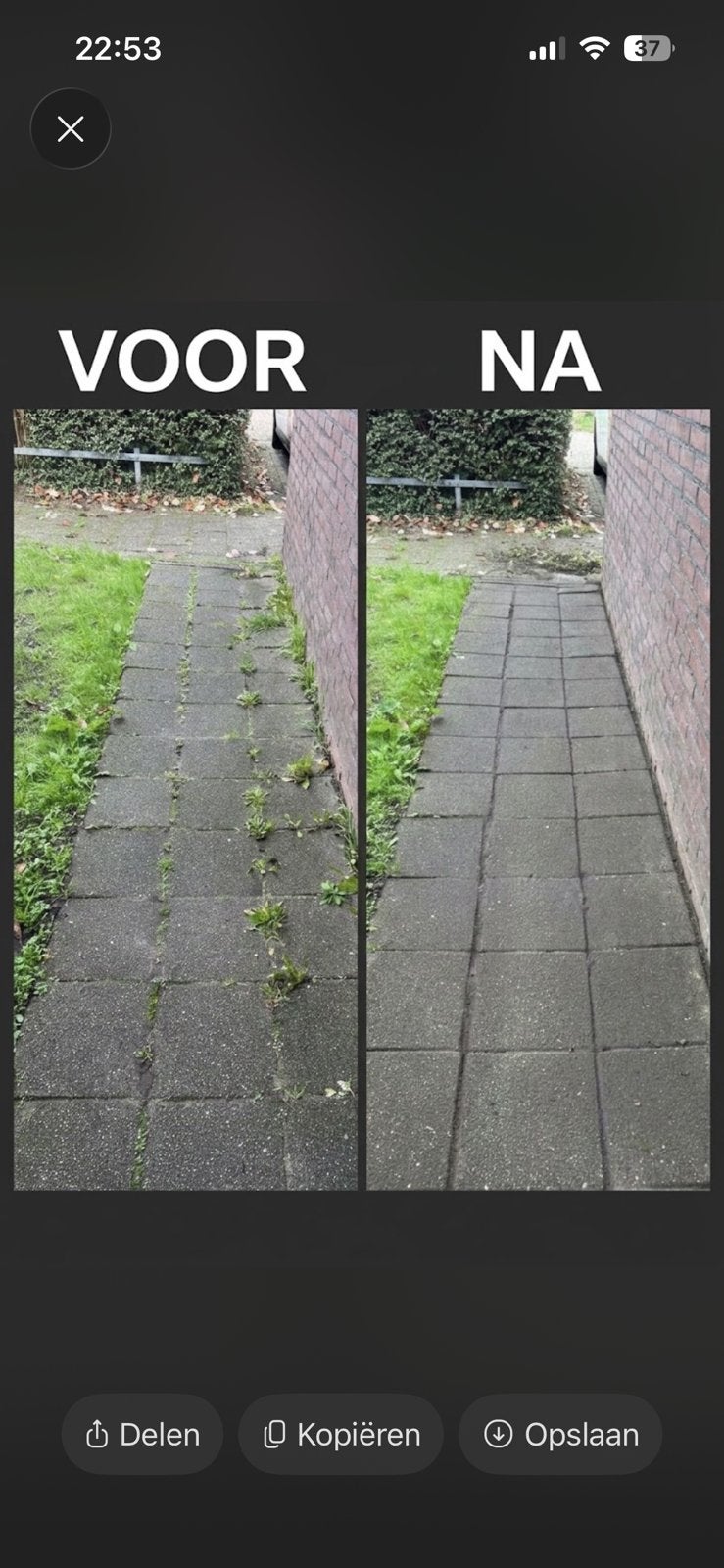 Betrouwbare Tuinman en andere klusjes Snel beschikbaar!), Ophalen of Verzenden