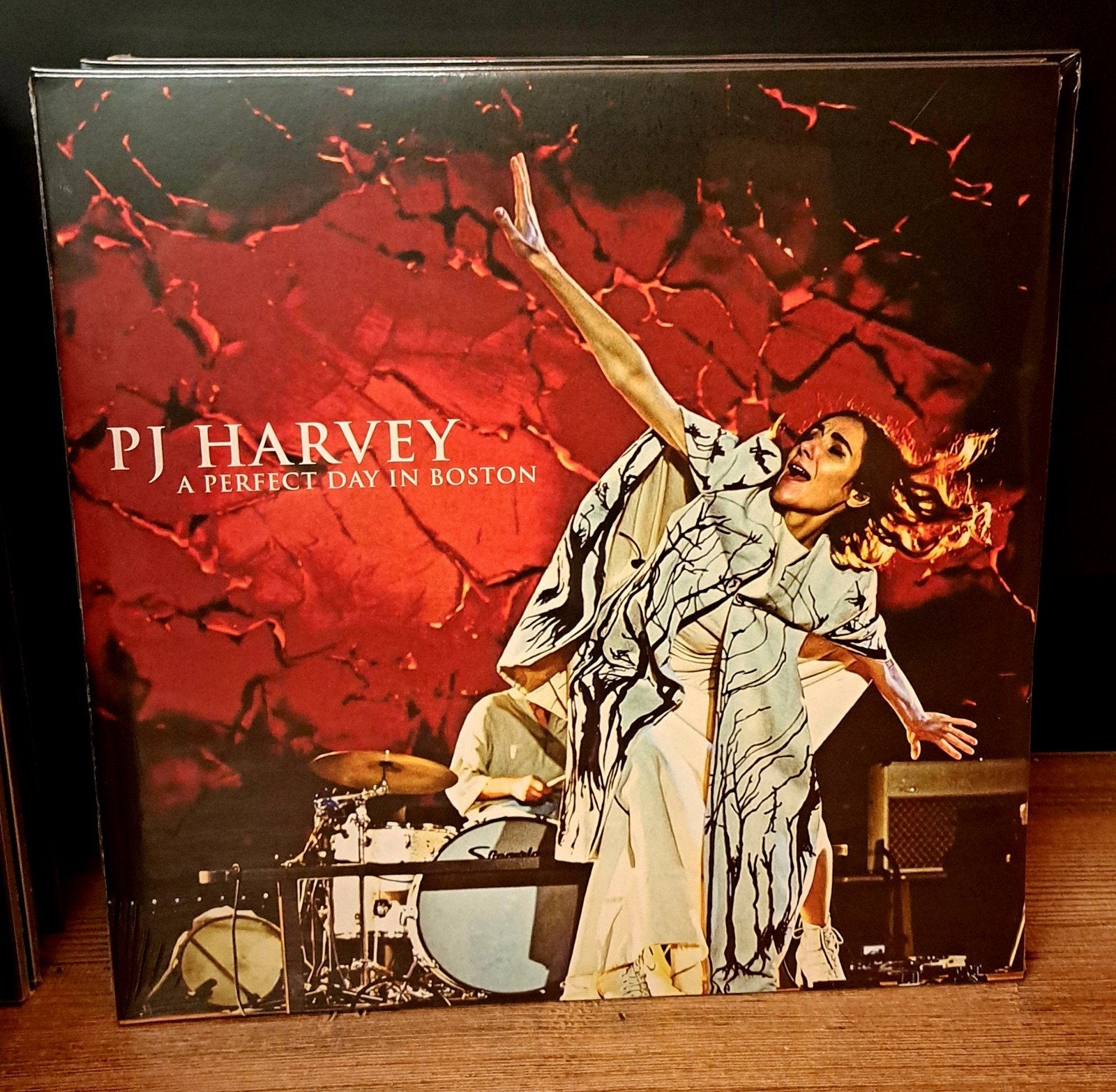 PJ Harvey - A Perfect Day in Boston (2LP, Nieuw), Cd's en Dvd's, Ophalen of Verzenden, Dubbel-LP, 12 inch, Nieuw in verpakking