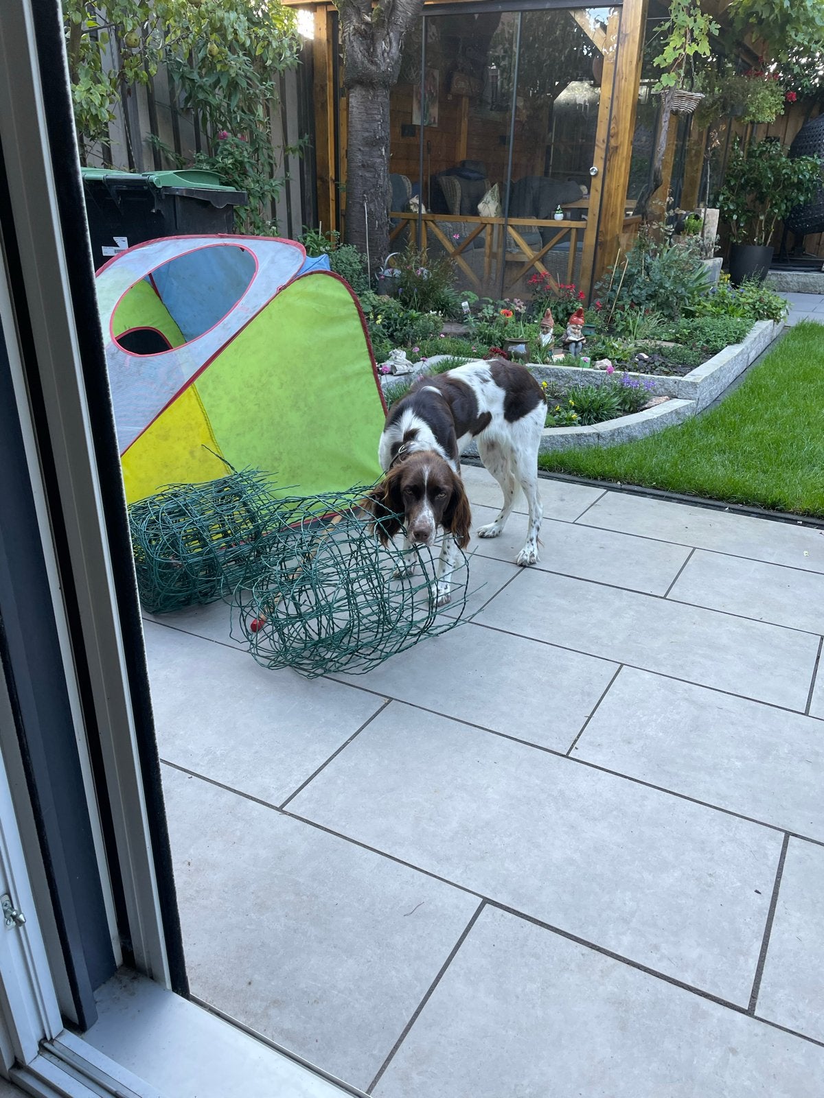 Groen tuingaas/raster - Ideaal voor tuin en dieren, Ophalen, Gebruikt, 20 meter of meer, Gaas