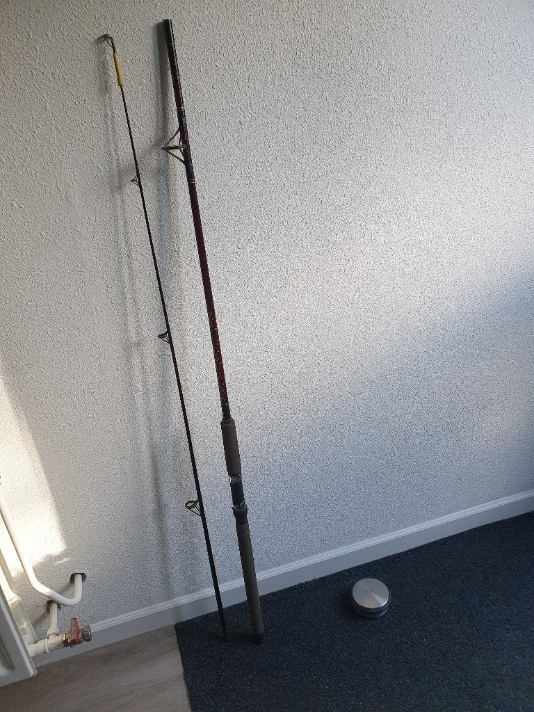 Daiwa Carbon Cosmo G3120-8D hengel - 244 cm, Watersport en Boten, Ophalen, Gebruikt, Werphengel