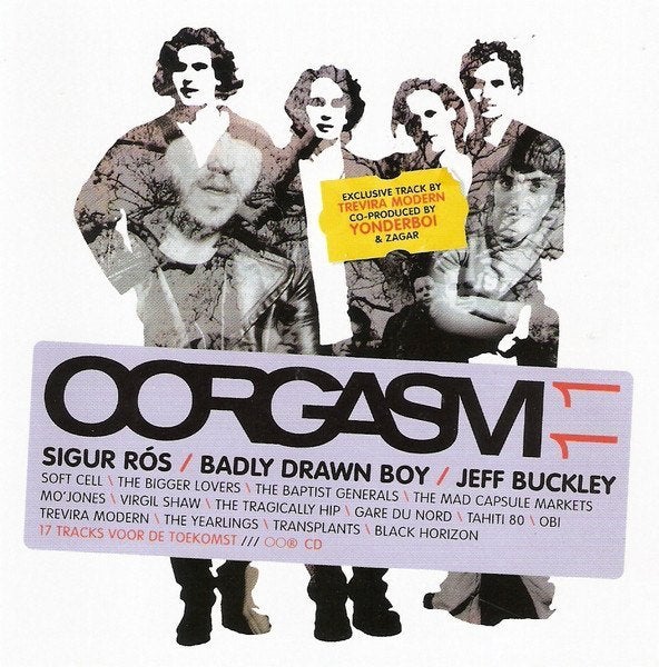 SALE--CD VARIOUS - Oorgasm 11, Verzenden, Zo goed als nieuw, Poprock