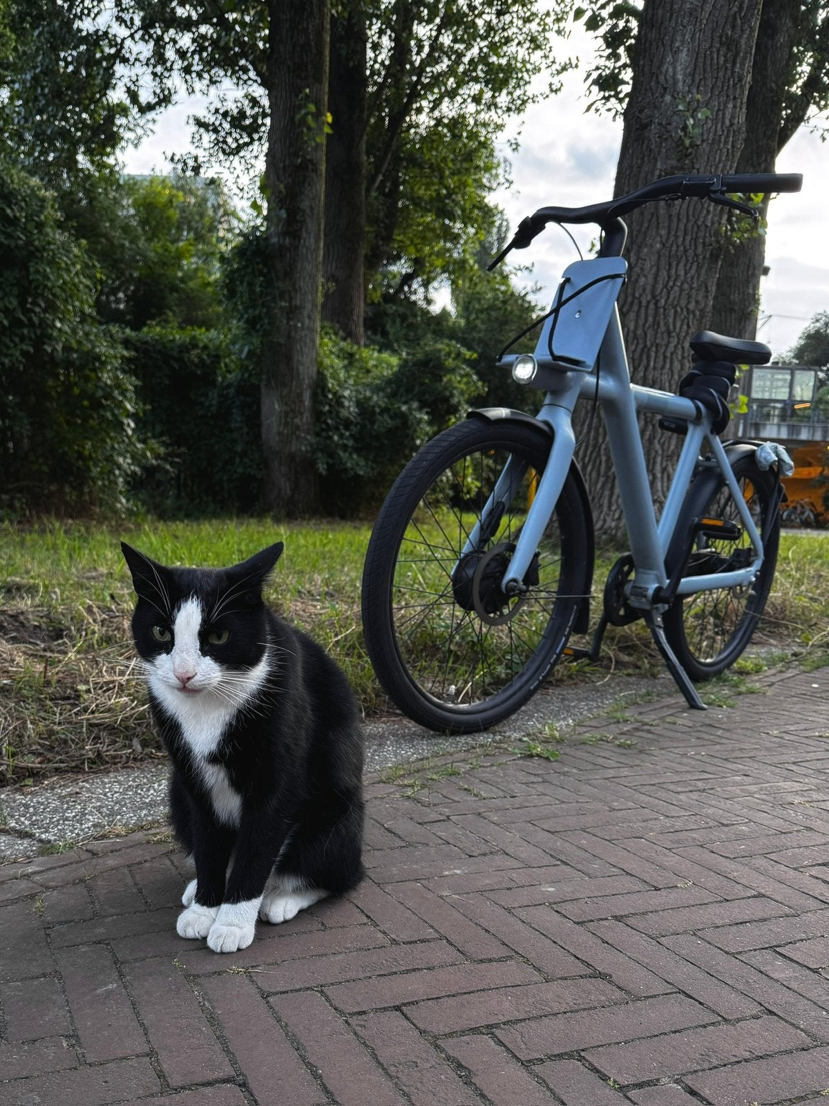 VanMoof X3 (broken socket), Ophalen of Verzenden, Gebruikt, Vanmoof