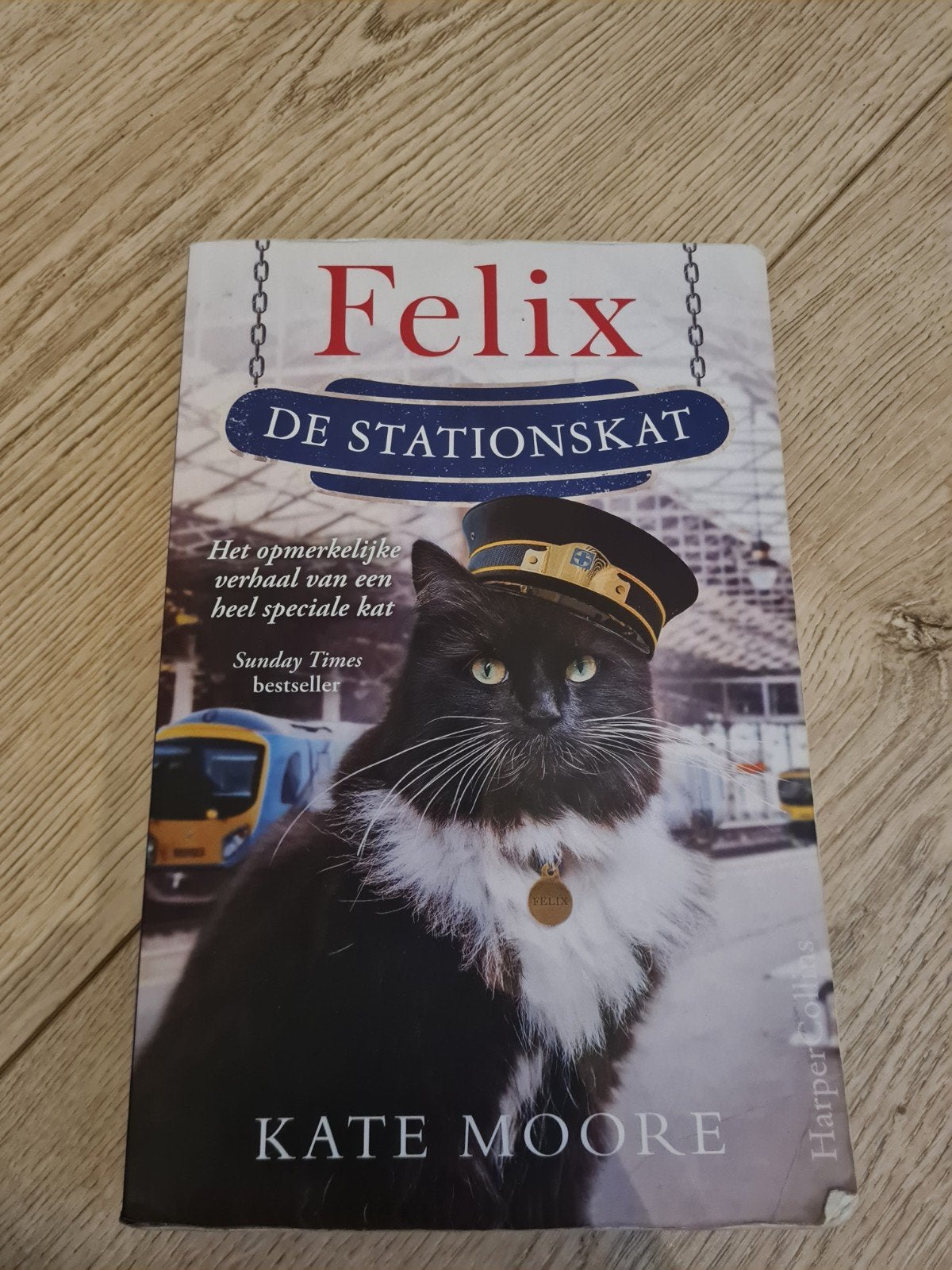 Felix de station kat, Ophalen of Verzenden, Zo goed als nieuw, Katten, Kate Moore