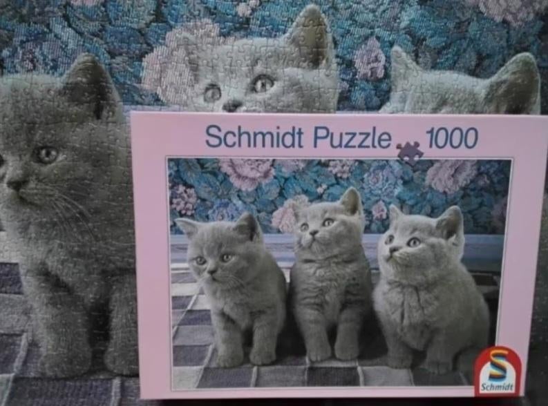 Schmidt puzzel 'drie poesjes in grijs' (Britse korthaar), Ophalen, 500 t/m 1500 stukjes, Zo goed als nieuw, Legpuzzel
