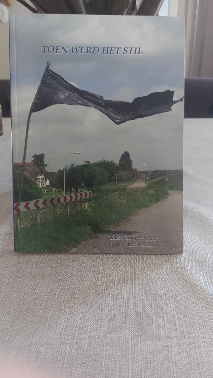 Toen werd het stil - Dirkje Sneller & Aart Veldman, Ophalen of Verzenden, Zo goed als nieuw, Dirkje Sneller, Aart Veldman, Nederland