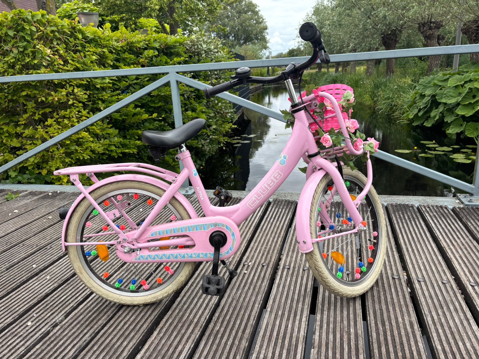 Meisjesfiets 18 inch Alpina Clubb Roze, Ophalen, Gebruikt, Terugtraprem, 20 inch