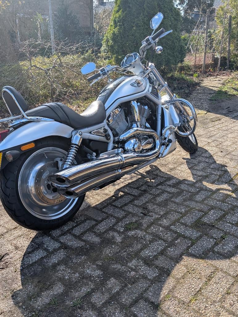 Harley davidson vrsca v rod anniversary 2003, Motoren, Motoren | Harley-Davidson, 2 cilinders, Chopper, 1130 cc, Particulier
