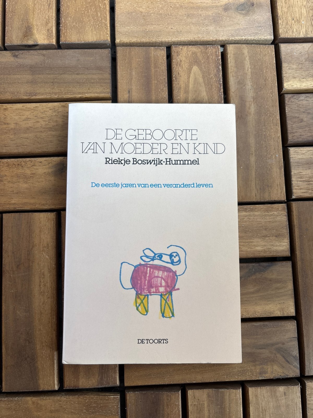 De Geboorte van Moeder en Kind - Riektje Boswijk-Hummel, Ophalen of Verzenden, Gelezen, Zwangerschap en Bevalling