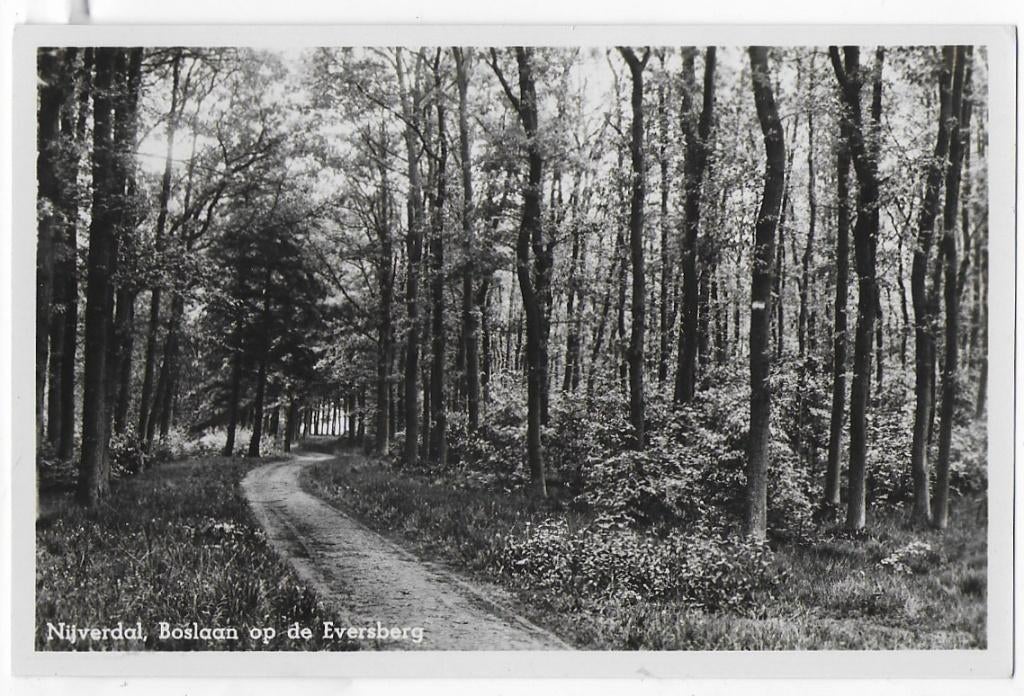 Nijverdal op de Eversberg Oude Ongelopen Ansichtkaart 1594, Ophalen of Verzenden, 1960 tot 1980, Gelopen