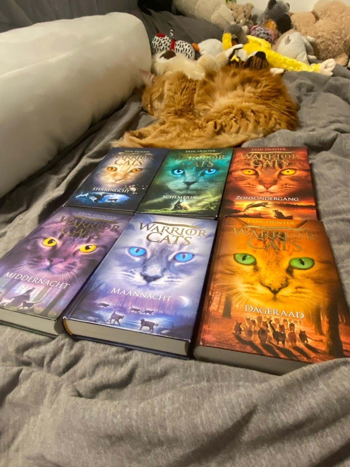 Warrior Cats Serie 2: De Nieuwe Profetie (6 boeken), Boeken, Ophalen of Verzenden, Zo goed als nieuw, Erin Hunter, Nederland