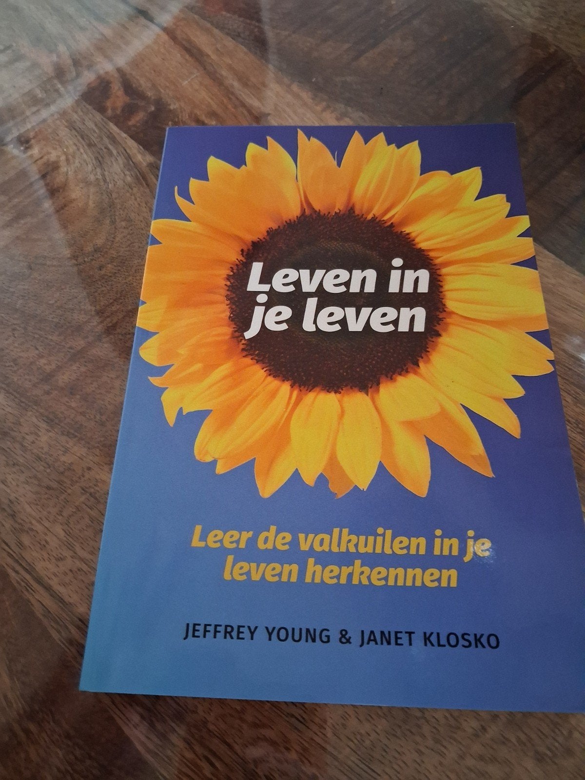 Leven in je leven: Leer de valkuilen herkennen, Ophalen of Verzenden, Gelezen, Klinische psychologie, Jeffrey Young & Janet Klosko