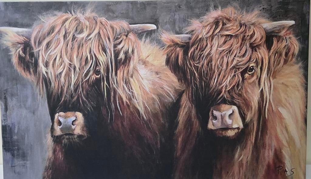 Schilderij Schotse Hooglanders Moeder en Dochter Canvas, Ophalen