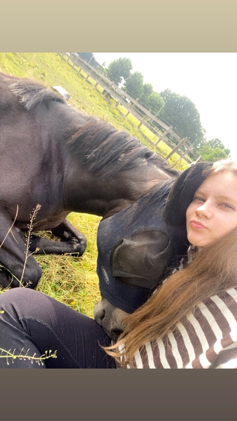Verzorg paard gezocht, Dieren en Toebehoren, Paarden en Pony's | Verzorgingsproducten, Ophalen of Verzenden, Zo goed als nieuw