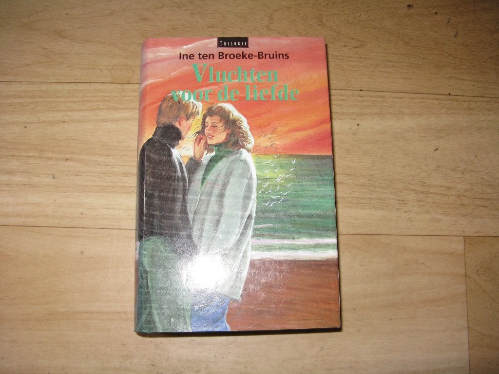 Ine ten Broeke-Bruins - Vluchten voor de liefde, Ophalen of Verzenden, Gelezen
