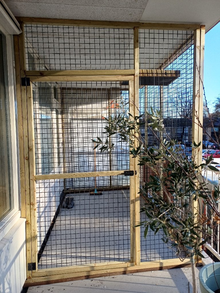 Maatwerk houten kattenren | Duurzame materialen, Ophalen of Verzenden, Nieuw