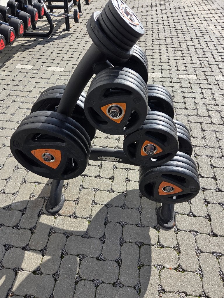 Ziva Halterschijven 50mm - Totaal 632,5kg
