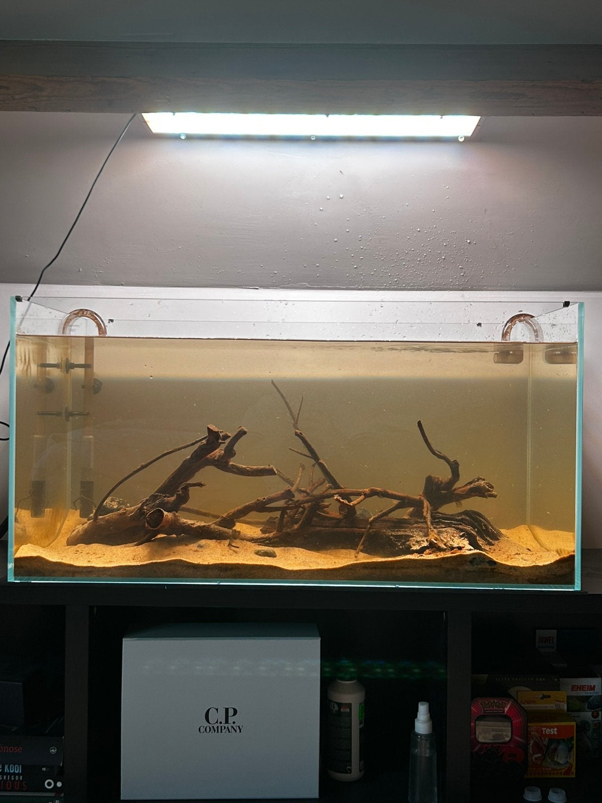 Aquarium + filter + roofvis, Dieren en Toebehoren, Ophalen, Oase, Inclusief deksel, Gevuld zoetwateraquarium