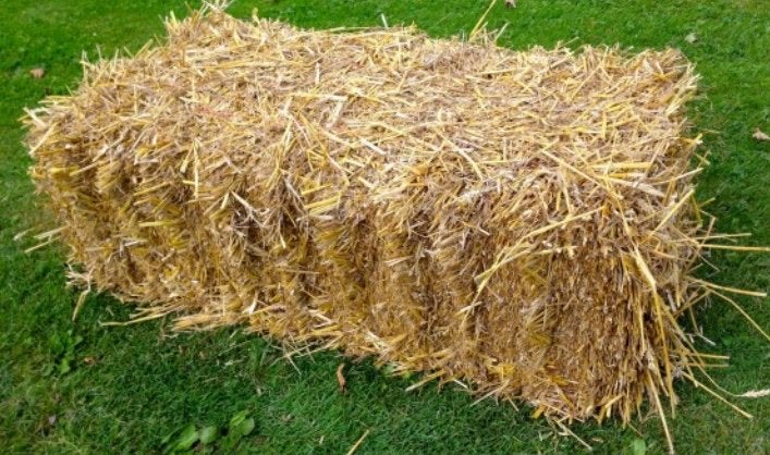 Kleine pakjes stro, Dieren en Toebehoren, Dierenvoeding, Ophalen, Vee