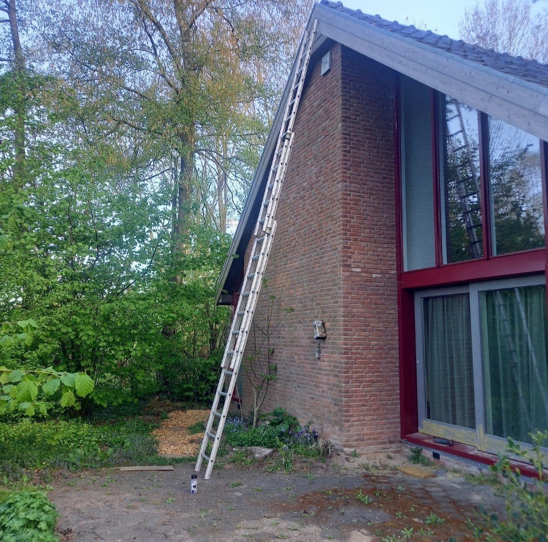 Ladder 3 x12 treden aluminium, Ophalen of Verzenden, 4 meter of meer