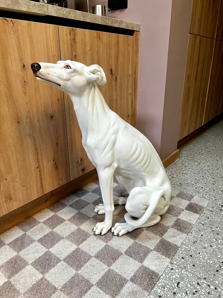 Vintage XL beeld windhond/greyhound Made in Italy, Verzamelen, Beelden en Beeldjes, Ophalen, Zo goed als nieuw, Dier
