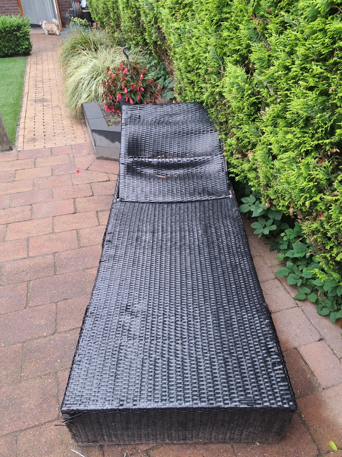 Gratis af te halen Zwarte wicker ligstoel met kussen, Ophalen, Gebruikt, Wicker