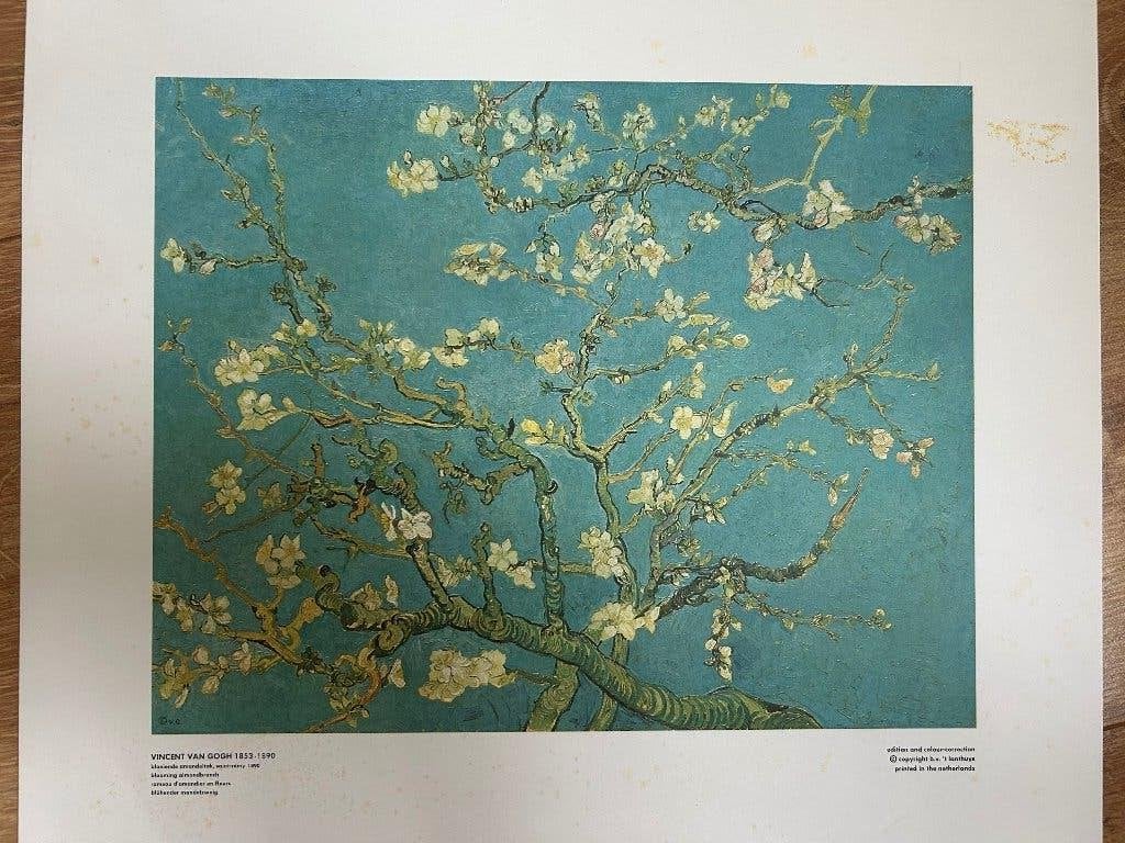 Posters van Gogh, Ophalen, Rechthoekig Liggend, Zo goed als nieuw, A1 t/m A3