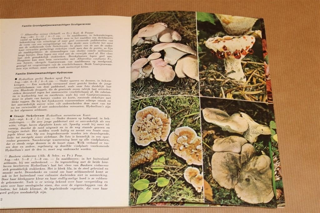 Zeldzame Paddestoelen — 112 Soorten in Kleur, Ophalen of Verzenden, Gelezen, Vogels