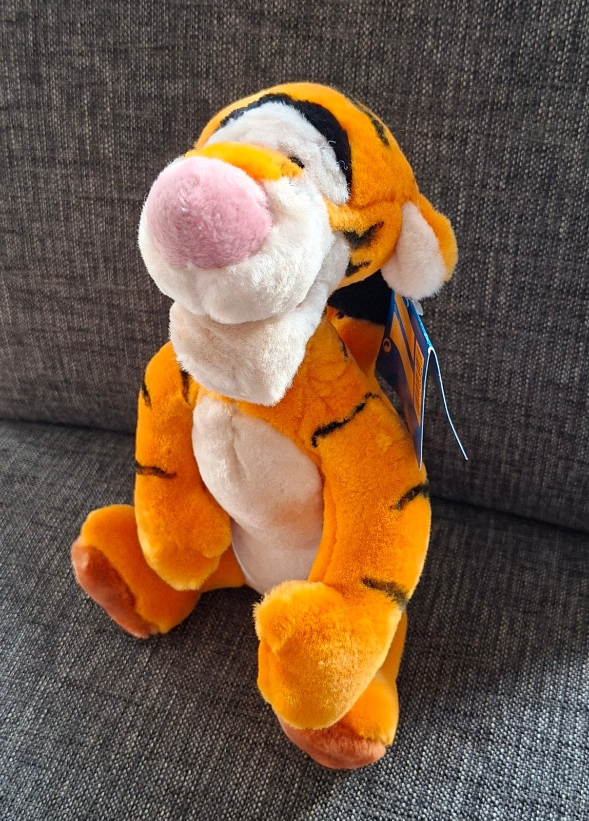 Teigetje Winnie de Poeh knuffel - Disneyland Parijs (nieuw), Disney, Disney, Nieuw, Ophalen of Verzenden