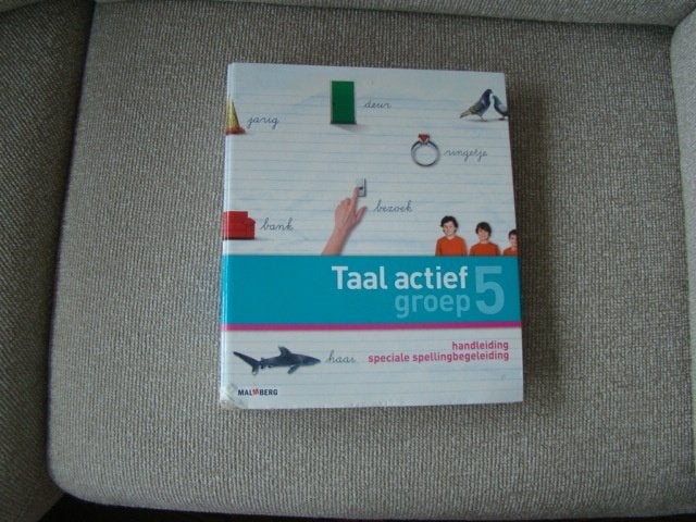 Taal Actief Handleiding Speciale Spellingsbegeleiding 5, Malmberg, Ophalen of Verzenden, Zo goed als nieuw, Nederlands