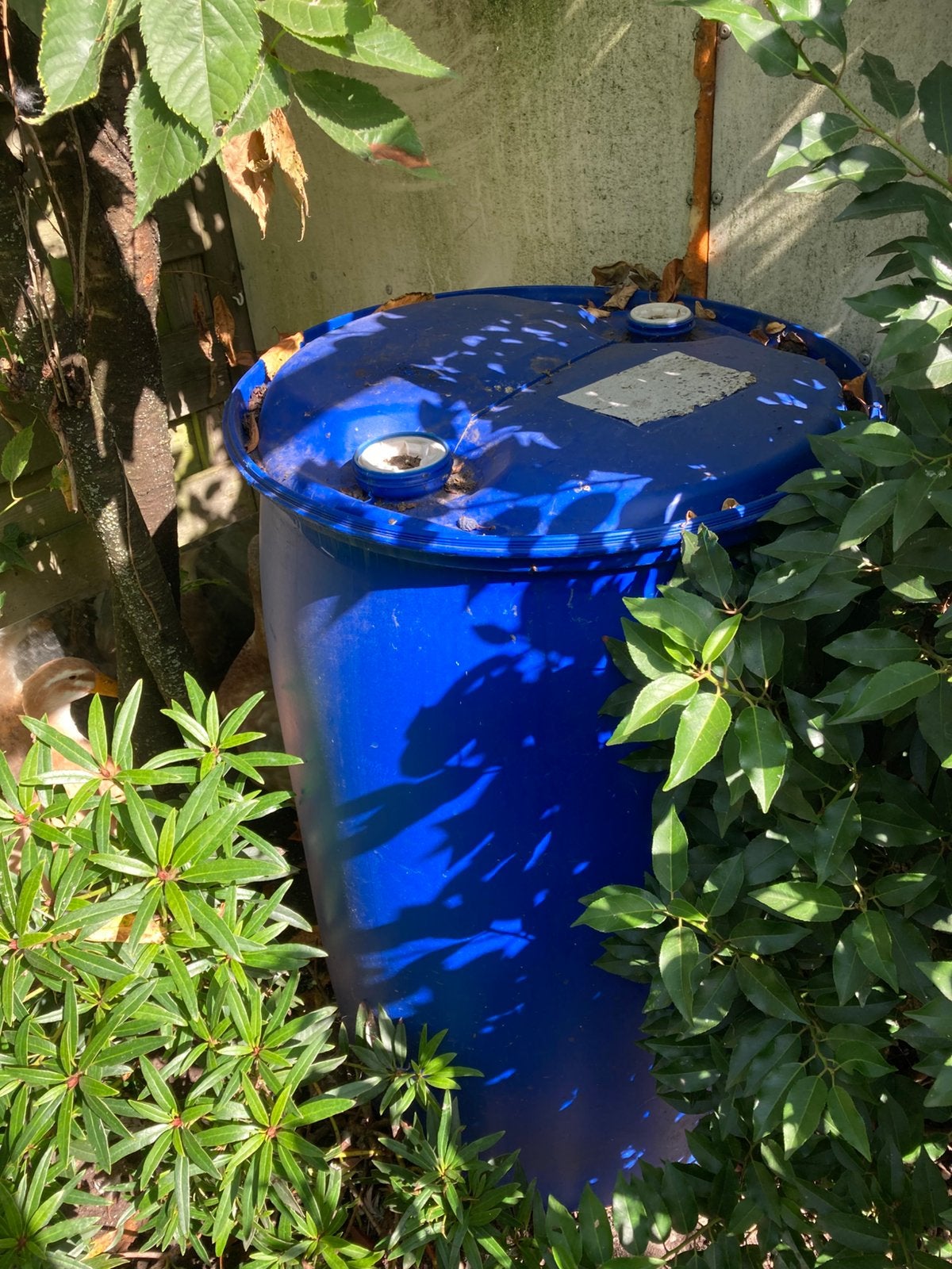 Plastic vat, Tuin en Terras, Minder dan 75 liter, Ophalen, Zo goed als nieuw