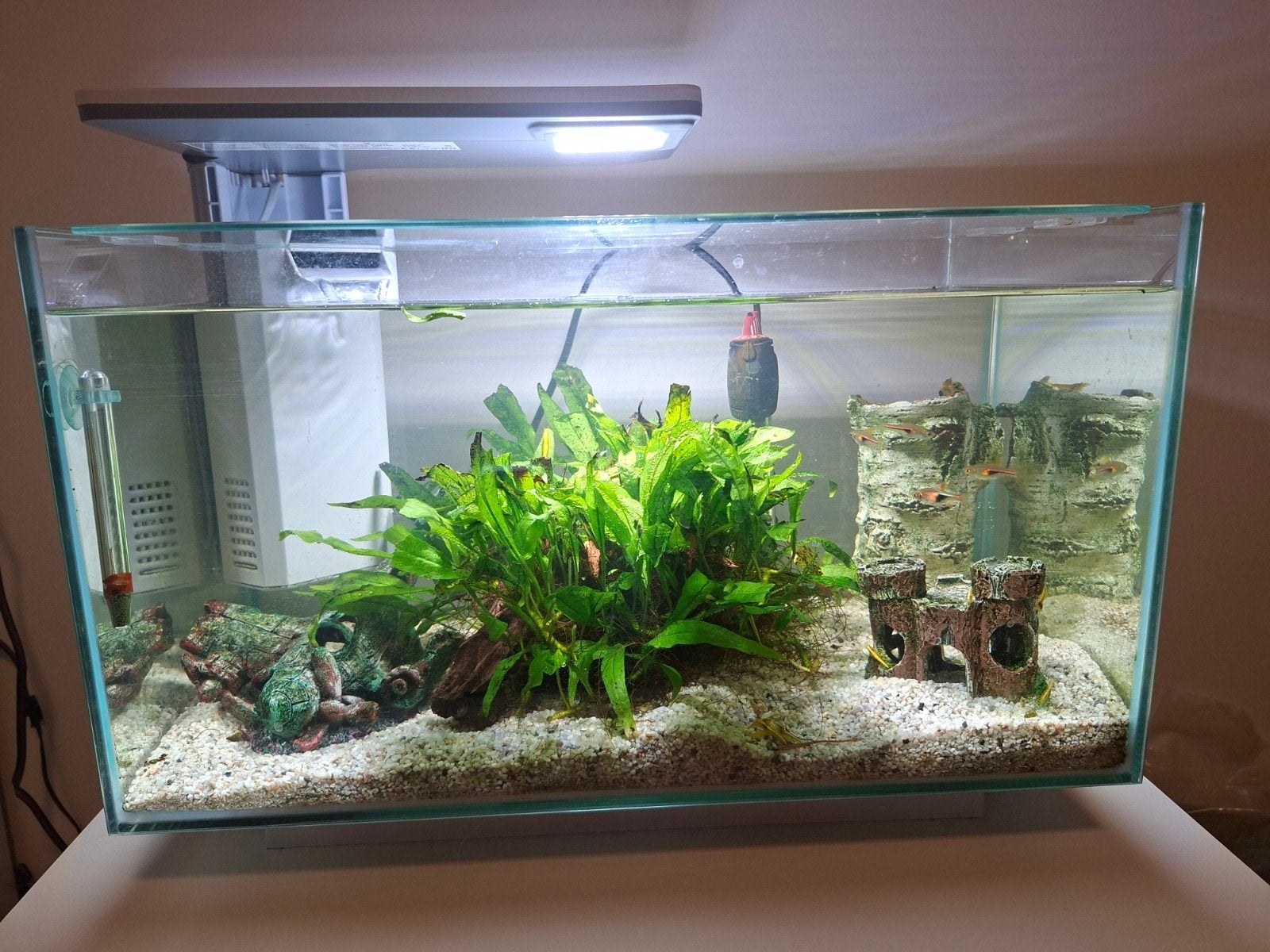 Superfish Quadro 40 Pro aquarium compleet, Ophalen, Zo goed als nieuw, Superfish