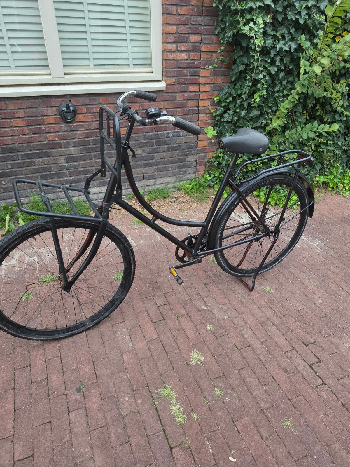 omafiets Robust transportfiets met voordrager en achterdrage, Terugtraprem, Ophalen, Overige merken, 53 tot 56 cm