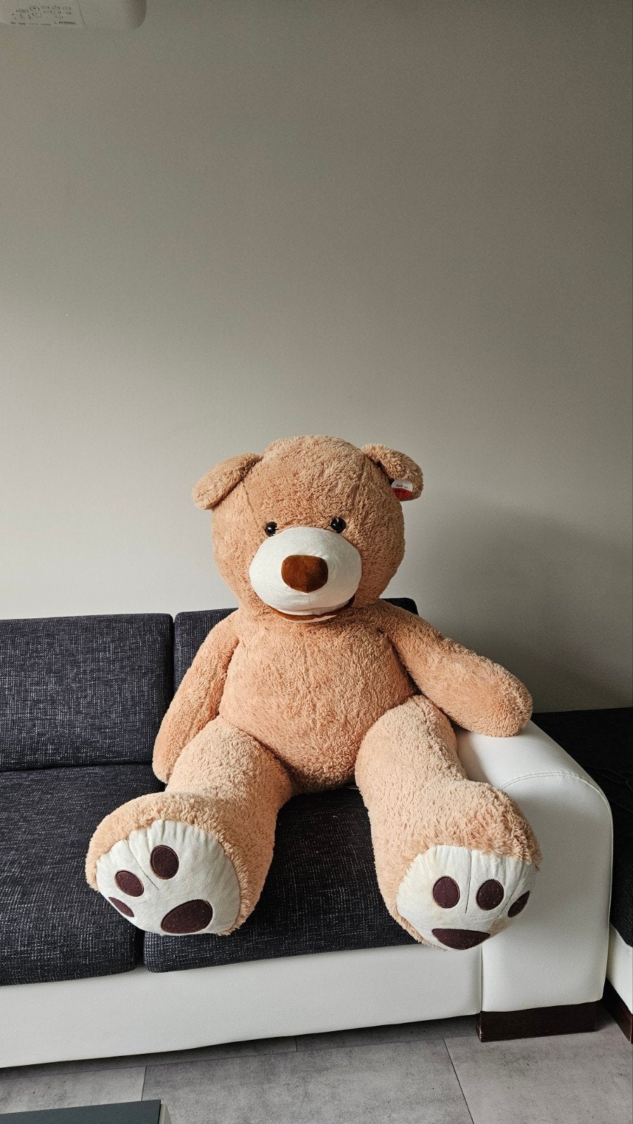 Grote knuffelbeer - Gebruikt met lichte beschadiging, Ophalen, Gebruikt, Overige merken, Overige karakters