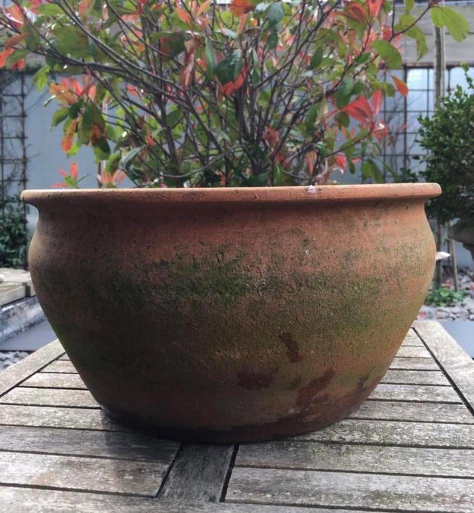 Antieke unieke terracotta bloempot van 36cm, Tuin en Terras, Bloempotten, 25 tot 40 cm, Gebruikt, Rond, Ophalen of Verzenden