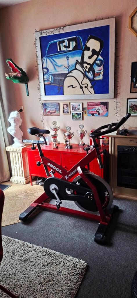PROFESSONELE SPEED BIKE  BIEDEN, Ophalen of Verzenden, Spinningfiets
