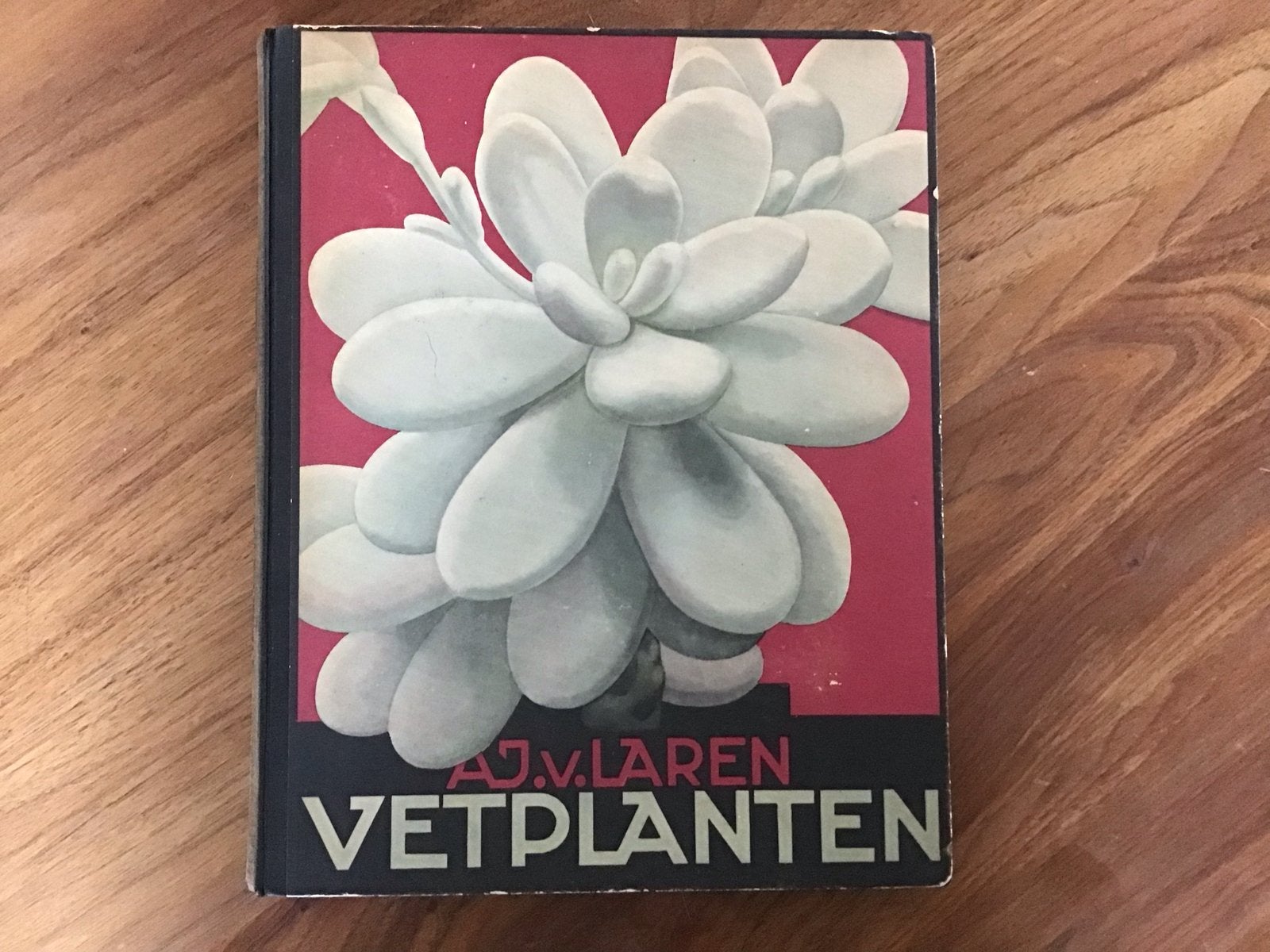 A.J. van Laren - Vetplanten (1932) - Zeldzaam boek, Ophalen of Verzenden, Gelezen, Bloemen, Planten en Bomen
