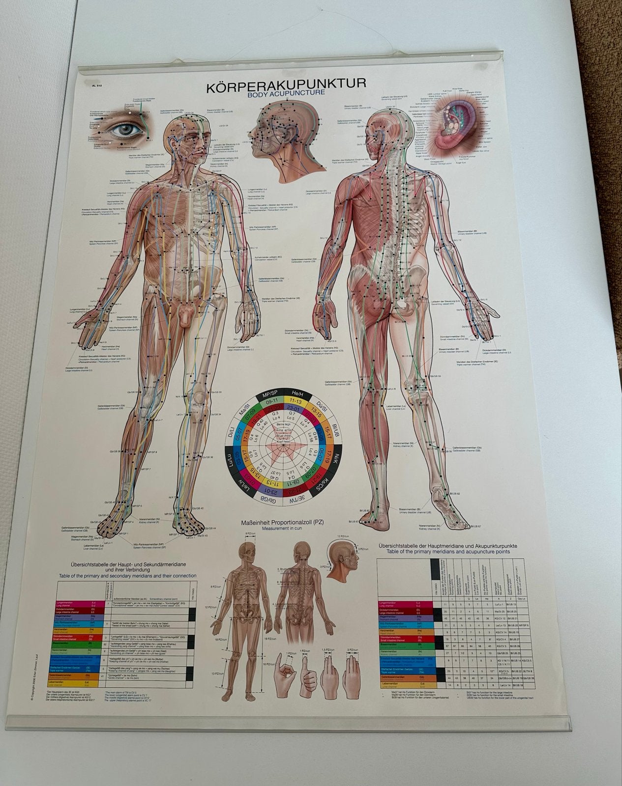 Acupunctuur poster - Anatomie en Acupunctuurpunten, Ophalen, Zo goed als nieuw, Overige typen