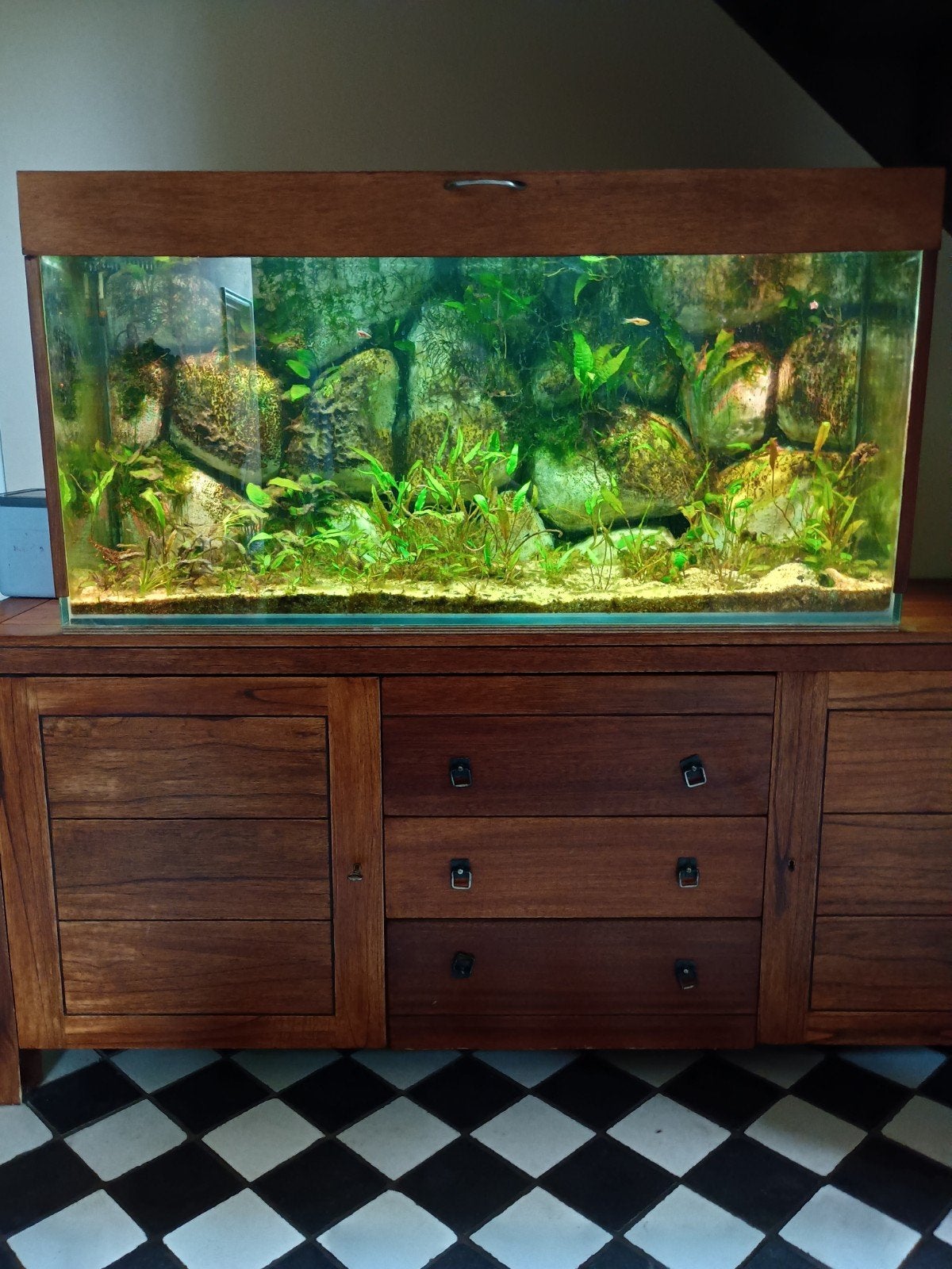 Prachtig aquarium 130x60x50 incl alles, Ophalen of Verzenden, Zo goed als nieuw, Leeg aquarium